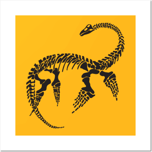 Terra Fossil Plesiosaur Dinosaur Posters and Art